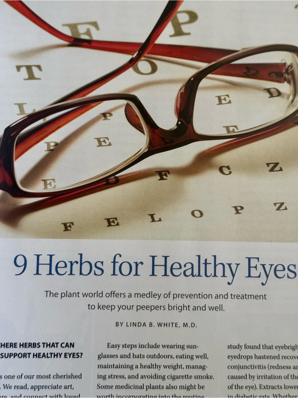 Mother Earth News Magazine Collector Series 2025 Grow Cook Heal with Herbs - Picture 6 of 14